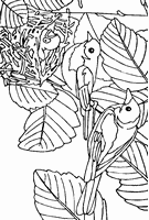 kolorowanka dla dzieci