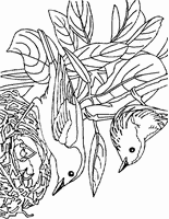 kolorowanka dla dzieci