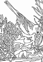 kolorowanka dla dzieci