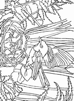 kolorowanka dla dzieci