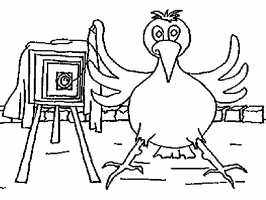 kolorowanka dla dzieci