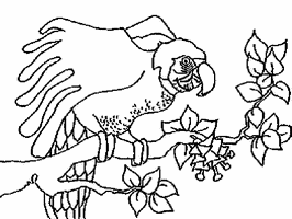 kolorowanka dla dzieci