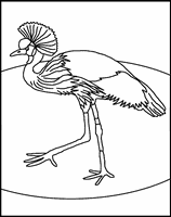 kolorowanka dla dzieci