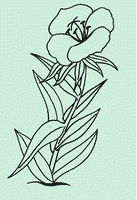 kolorowanka dla dzieci